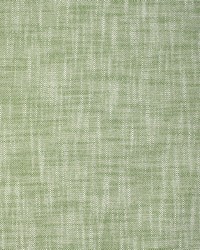 Greenhouse S2210 by  Greenhouse Fabrics 
