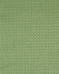 Greenhouse S2211 by  Greenhouse Fabrics 