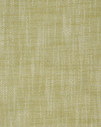 Greenhouse S2239 by  Greenhouse Fabrics 