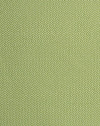 Greenhouse S2246 by  Greenhouse Fabrics 
