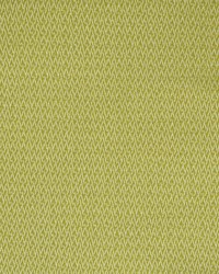 Greenhouse S2248 by  Greenhouse Fabrics 