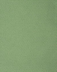 Greenhouse S2251 by  Greenhouse Fabrics 