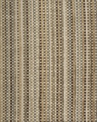 Greenhouse S2281 by  Greenhouse Fabrics 