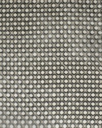 Greenhouse S2569 by  Greenhouse Fabrics 