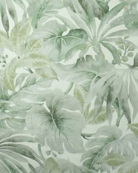 Greenhouse S2711 by  Greenhouse Fabrics 
