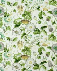 Greenhouse S2713 by  Greenhouse Fabrics 