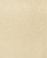 Greenhouse S2805 by  Greenhouse Fabrics 