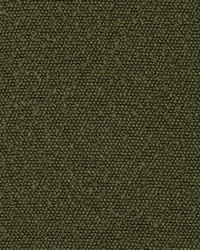 Greenhouse S2870 by  Greenhouse Fabrics 