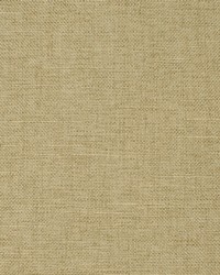 Greenhouse S2912 by  Greenhouse Fabrics 