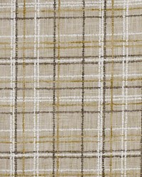 Greenhouse S2917 by  Greenhouse Fabrics 