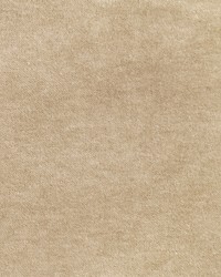 Greenhouse S2922 by  Greenhouse Fabrics 