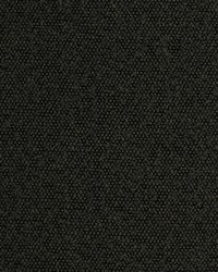 Greenhouse S2990 by  Greenhouse Fabrics 