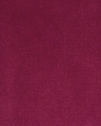 Greenhouse S3333 by  Greenhouse Fabrics 