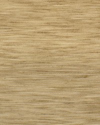 Greenhouse S3354 by  Greenhouse Fabrics 