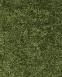 Greenhouse S3543 by  Greenhouse Fabrics 