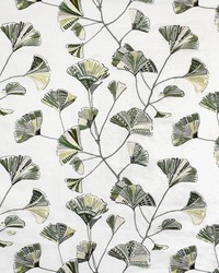 Greenhouse S3596 by  Greenhouse Fabrics 