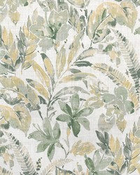Greenhouse S3601 by  Greenhouse Fabrics 