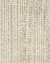 Greenhouse S3718 by  Greenhouse Fabrics 