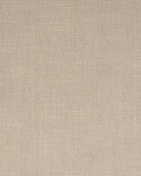 Greenhouse S3816 by  Greenhouse Fabrics 