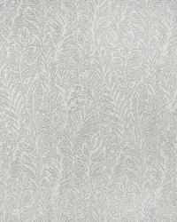 Greenhouse S3819 by  Greenhouse Fabrics 