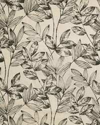 Greenhouse S3852 by  Greenhouse Fabrics 