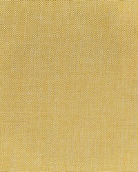 Greenhouse S3912 by  Greenhouse Fabrics 