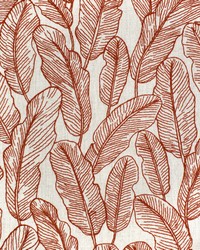 Greenhouse S3975 by  Greenhouse Fabrics 