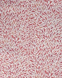 Greenhouse S4104 by  Greenhouse Fabrics 