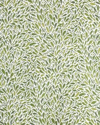 Greenhouse S4165 by  Greenhouse Fabrics 