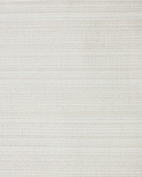 Greenhouse S4191 by  Greenhouse Fabrics 