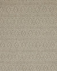 Greenhouse S4196 by  Greenhouse Fabrics 