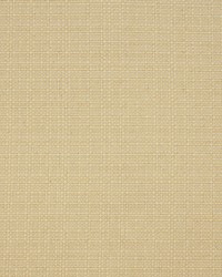 Greenhouse S4209 by  Greenhouse Fabrics 