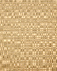 Greenhouse S4210 by  Greenhouse Fabrics 