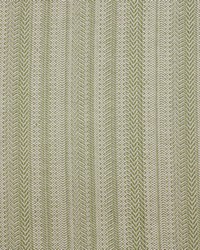 Greenhouse S4224 by  Greenhouse Fabrics 