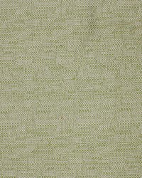 Greenhouse S4225 by  Greenhouse Fabrics 