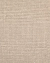 Greenhouse S4252 by  Greenhouse Fabrics 