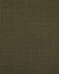 Greenhouse S4263 by  Greenhouse Fabrics 