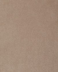 Greenhouse S4350 by  Greenhouse Fabrics 