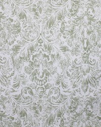 Greenhouse S4386 by  Greenhouse Fabrics 