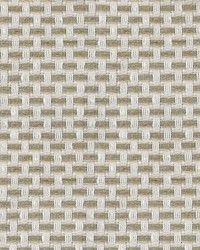 Greenhouse S4404 by  Greenhouse Fabrics 