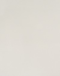 Greenhouse S4408 by  Greenhouse Fabrics 