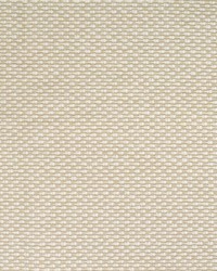 Greenhouse S4446 by  Greenhouse Fabrics 