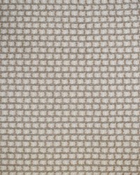Greenhouse S4447 by  Greenhouse Fabrics 