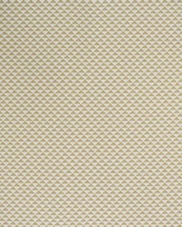 Greenhouse S4449 by  Greenhouse Fabrics 