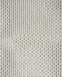 Greenhouse S4465 by  Greenhouse Fabrics 