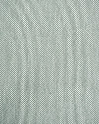 Greenhouse S4467 by  Greenhouse Fabrics 