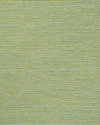 Greenhouse S4546 by  Greenhouse Fabrics 