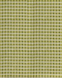 Greenhouse S4553 by  Greenhouse Fabrics 