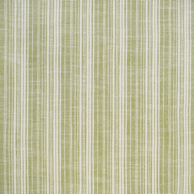 Greenhouse Fabrics Greenhouse S4554