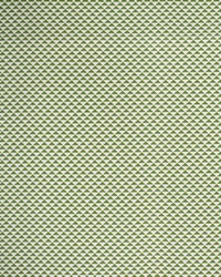 Greenhouse S4558 by  Greenhouse Fabrics 